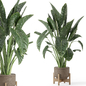 Indoor Plants in rusty Concrete Pot - Set 1086 - Комнатные - 3D модель