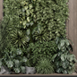 Indoor Wall Vertical Garden Set - Set 1372 - Фитостены - 3D модель - фото 5