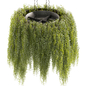 Collection plant vol 461 - bush - hanging - ampelous - Комнатные - 3D модель
