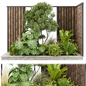 Collection plant vol 488 - garden - leaf - palm - wood - Уличные - 3D модель