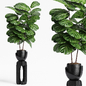 Indoor Plants 14 - Комнатные - 3D модель