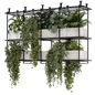 Indoor Hanging Plants in Metal Box - Set 1641 - Комнатные - 3D модель