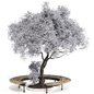 Outdoor Garden Tree Collection 205 Corona - Уличные - 3D модель