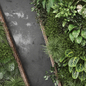 indoor wall vertical garden - Set 996 - Фитостены - 3D модель - фото 3