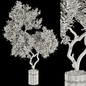 Indoor Bonsai Fruit Tree in Pottery Pot 239 - Комнатные - 3D модель - фото 7