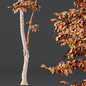 Alnus Glutinosa and Carpinus Betulus - Деревья - 3D модель - фото 7