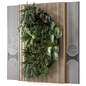 Indoor Wall  Vertical Garden in Wooden Base - Set 1897 - Фитостены - 3D модель - фото 3