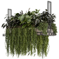 Indoor Hanging Plants in Metal Box - Set 1930 - Комнатные - 3D модель