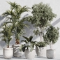 indoor plant set 87 - Комнатные - 3D модель