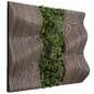 Plants Set Partition In Wooden Frame - Parametric Wall Vertical Garden 75 - Фитостены - 3D модель - фото 2
