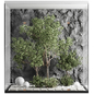 indoor plant set 29 - Комнатные - 3D модель
