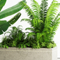 Indoor Plants in rusty Concrete Pot - Set-82 - Комнатные - 3D модель - фото 5
