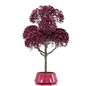 Indoor plant - Комнатные - 3D модель