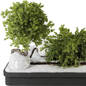 snowy backyard and landscape garden bonsai tree and shrub set 294 - Уличные - 3D модель - фото 3