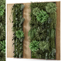 Indoor Wall  Vertical Garden in Wooden Base - Set 2053 - Фитостены - 3D модель