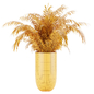 Indoor Cycas Revoluta plant - Комнатные - 3D модель - фото 3