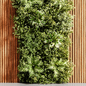 Wooden planks and vertical garden 13 - Фитостены - 3D модель - фото 6