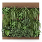 Indoor Wall  Vertical Garden in Wooden Base - Set 2438 - Фитостены - 3D модель - фото 2