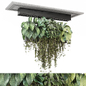 indoor hanging plants in metal box  Set 1388 - Комнатные - 3D модель - фото 2