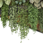 indoor hanging plants in metal shelf 1514 - Комнатные - 3D модель - фото 5
