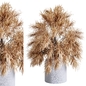 Dry Palm Grass plant in a bouquet plaster vase 69 - Букеты - 3D модель