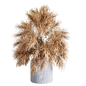 Dry Palm Grass plant in a bouquet plaster vase 69 - Букеты - 3D модель - фото 2