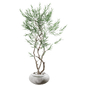 indoor Plant collection 1020 - Комнатные - 3D модель