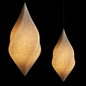 PletoStudio Organic Pendant Light and Natural Textures - Подвесной - 3D модель - фото 2