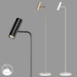 LampsShop.ru T6127 Floor Lamp Walot - Торшеры - 3D модель