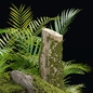 Mossy Rocks and Tropical Plants 3D Model Realistic Nature Asset - Уличные - 3D модель - фото 4