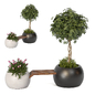 Green Bench-A Collection of Plants in The Minimal Garden 172 - Другие предметы интерьера - 3D модель