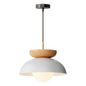 Modern Metal Wood Bowl Ceiling Pendant Lamp - Подвесной - 3D модель - фото 2