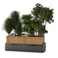 Plants Collection in Metal and Wooden Box set 243 - Уличные - 3D модель - фото 2