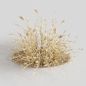 Dry wheat grass clumb - Кусты - 3D модель - фото 2