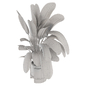 Indoor Ficus Plant Minimal Pot_Set 3747 - Комнатные - 3D модель - фото 4