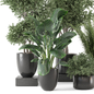 Indoor Plants in Rusty Concrete Pot_Set 3855 - Комнатные - 3D модель - фото 3