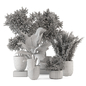 Indoor Plants in Rusty Concrete Pot_Set 3855 - Комнатные - 3D модель - фото 5