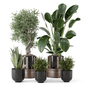 Indoor Plants Black Metal Pot_Set 3867 - Комнатные - 3D модель