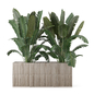 Outdoor Plants in Glazed Brown Tile Pot_Set 3874 - Уличные - 3D модель - фото 2