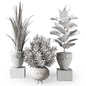 Indoor Plants Collection set 428 - Комнатные - 3D модель - фото 7