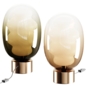 Dalma Cangini & Tucci Glass Table Lamp - Настольный - 3D модель - фото 3