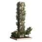 Ivy Plant on column - Outdoor Plants 750 - Уличные - 3D модель