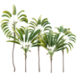 AV Plant Strelitzia Nicolai Palm Tree 01 - Деревья - 3D модель