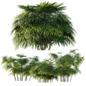 AV Plant Rhapis Excelsa Palm Bush 02 - Кусты - 3D модель