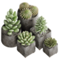 Indoor plant 224 - Комнатные - 3D модель