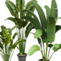 plant vol 1123 - banana - leaf - pot - Комнатные - 3D модель - фото 2
