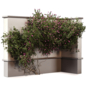 Hanging Plants on Wall - Outdoor Plant 580 - Уличные - 3D модель