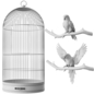 Decorative Bird Cage Collection - Живые существа - 3D модель - фото 5