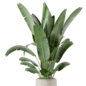Indoor Plants Rusty Concrete Pot_Set 4695 - Комнатные - 3D модель - фото 4