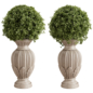 Outdoor Classic Urn Planter with Topiary Vol 04 - Уличные - 3D модель